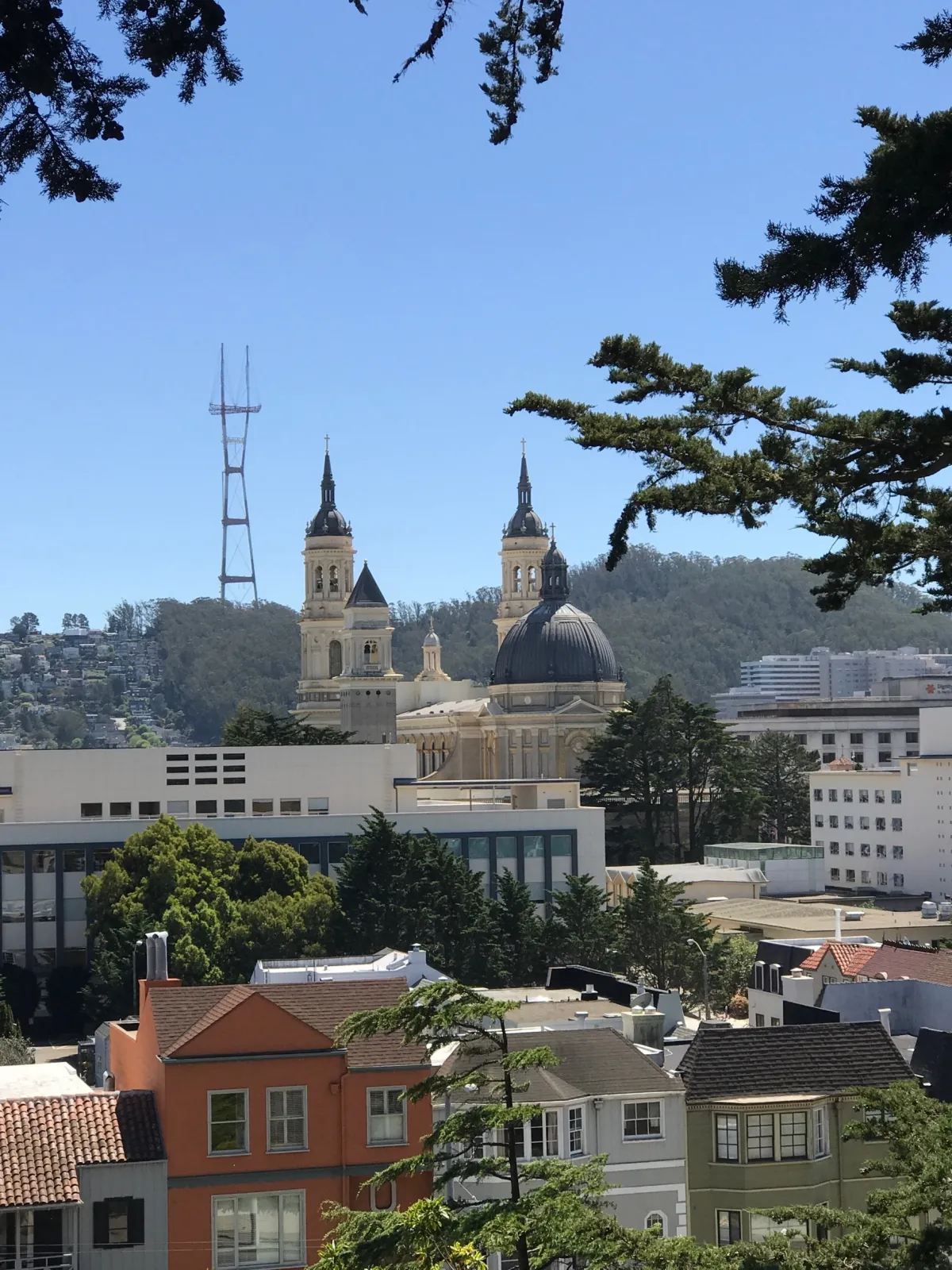 San Francisco's Richmond District